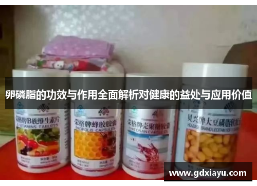 卵磷脂的功效与作用全面解析对健康的益处与应用价值