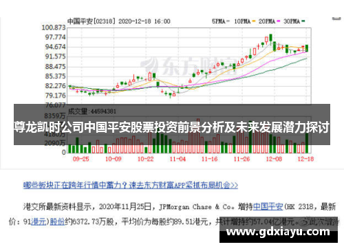 尊龙凯时公司中国平安股票投资前景分析及未来发展潜力探讨